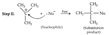 Haloalkanes and Haloarenes Class 12 Notes Chemistry 28