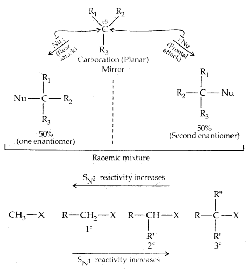 Haloalkanes and Haloarenes Class 12 Notes Chemistry 29