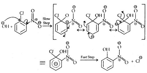 Haloalkanes and Haloarenes Class 12 Notes Chemistry 48