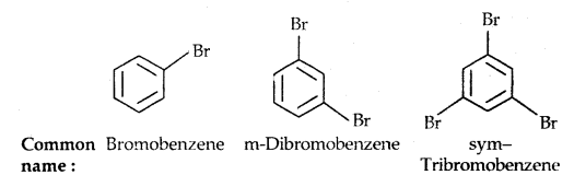 Haloalkanes and Haloarenes Class 12 Notes Chemistry 8