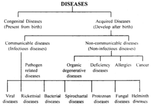 Human Health and Disease Notes