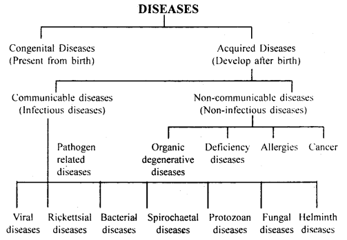 human health and disease class 12