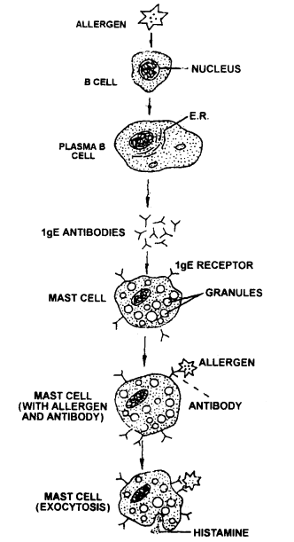 human health and disease class 12