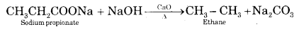 Hydrocarbons Class 11 Important Extra Questions Chemistry 11