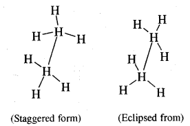 Hydrocarbons Class 11 Important Extra Questions Chemistry 26