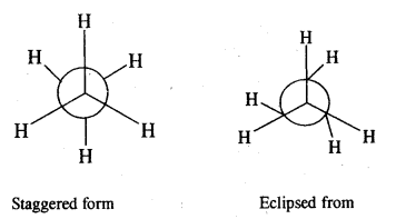 Hydrocarbons Class 11 Important Extra Questions Chemistry 27