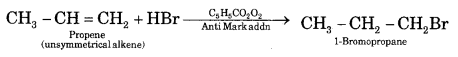 Hydrocarbons Class 11 Important Extra Questions Chemistry 30