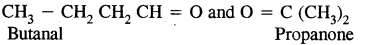 Hydrocarbons Class 11 Important Extra Questions Chemistry 31