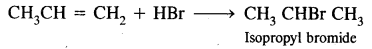 Hydrocarbons Class 11 Important Extra Questions Chemistry 47