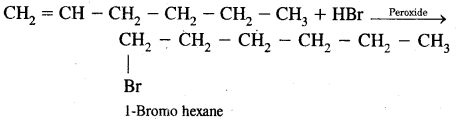 Hydrocarbons Class 11 Important Extra Questions Chemistry 50
