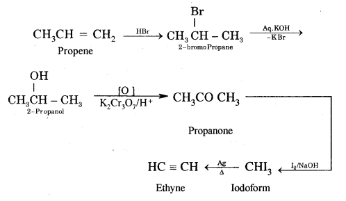 Hydrocarbons Class 11 Important Extra Questions Chemistry 53