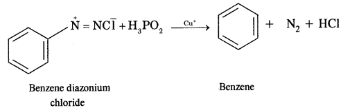 Hydrocarbons Class 11 Important Extra Questions Chemistry 57