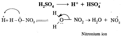 Hydrocarbons Class 11 Important Extra Questions Chemistry 62