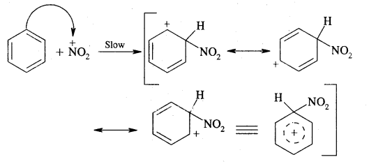 Hydrocarbons Class 11 Important Extra Questions Chemistry 63