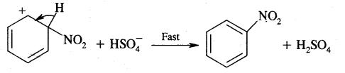 Hydrocarbons Class 11 Important Extra Questions Chemistry 64