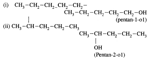 Hydrocarbons Class 11 Important Extra Questions Chemistry 72