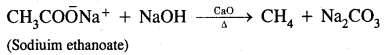 Hydrocarbons Class 11 Important Extra Questions Chemistry 75