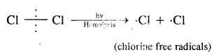 Hydrocarbons Class 11 Important Extra Questions Chemistry 79