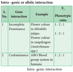 Interaction Of Genes - Intragenic And Intergenic Incomplete Dominance, Lethal Genes, Epistasis img 4