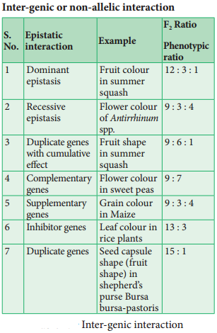 Interaction Of Genes - Intragenic And Intergenic Incomplete Dominance, Lethal Genes, Epistasis img 5