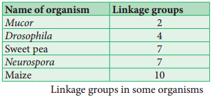 Linkage - Eye Colour In Drosophila And Seed Colour In Maize img 5