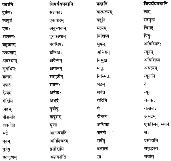 MCQ Questions for Class 10 Sanskrit Chapter 5 जननी तुल्यवत्सला with Answers 4