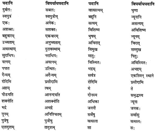 MCQ Questions for Class 10 Sanskrit Chapter 5 जननी तुल्यवत्सला with Answers 5