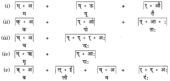 MCQ Questions for Class 6 Sanskrit Chapter 1 शब्द परिचयः 1 with Answers 2