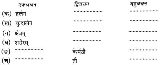 MCQ Questions for Class 6 Sanskrit Chapter 10 कृषिकाः कर्मवीराः with Answers 1
