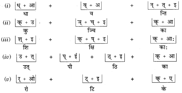 MCQ Questions for Class 6 Sanskrit Chapter 2 शब्द परिचयः 2 with Answers 2