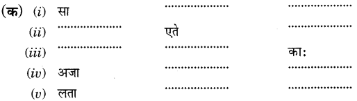 MCQ Questions for Class 6 Sanskrit Chapter 2 शब्द परिचयः 2 with Answers 3