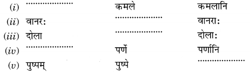 MCQ Questions for Class 6 Sanskrit Chapter 3 शब्द परिचयः 3 with Answers 3
