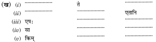 MCQ Questions for Class 6 Sanskrit Chapter 3 शब्द परिचयः 3 with Answers 4
