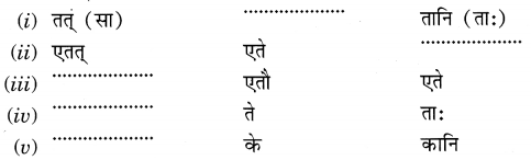 MCQ Questions for Class 6 Sanskrit Chapter 3 शब्द परिचयः 3 with Answers 5
