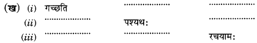 MCQ Questions for Class 6 Sanskrit Chapter 9 क्रीडास्पर्धा with Answers 3