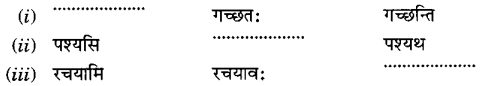 MCQ Questions for Class 6 Sanskrit Chapter 9 क्रीडास्पर्धा with Answers 4