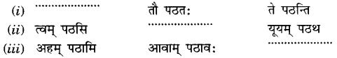 MCQ Questions for Class 6 Sanskrit Chapter 9 क्रीडास्पर्धा with Answers 8