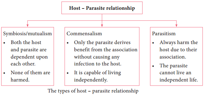 Medical Parasitology of Parasite and Host img 1