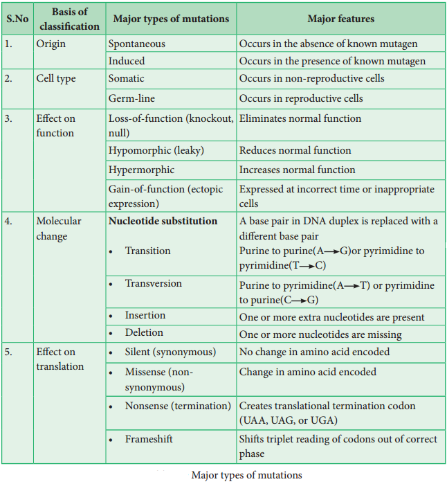 Mutation -Types, Mutagenic Agents And Their Significance. img 3