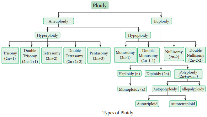 Mutation -Types, Mutagenic Agents And Their Significance. img 4