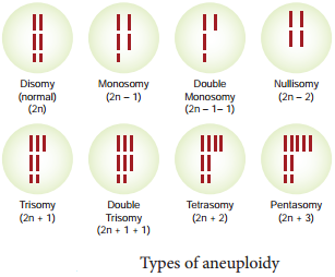 Mutation -Types, Mutagenic Agents And Their Significance. img 5