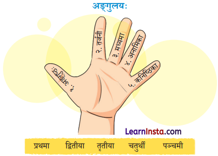 NCERT Class 7 Sanskrit Chapter 10 Question Answer Solutions दशमः कः Q3