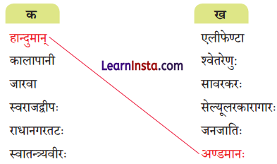NCERT Class 7 Sanskrit Chapter 11 Question Answer Solutions द्वीपेषु रम्यः द्वीपोऽण्डमानः Q1