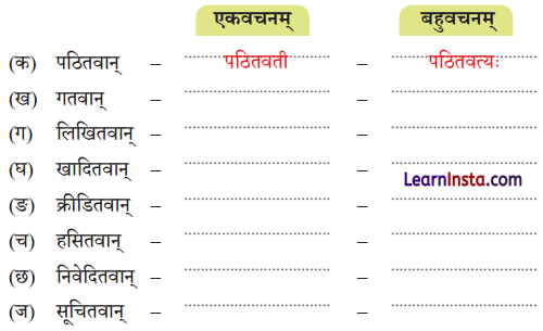 NCERT Class 7 Sanskrit Chapter 5 Question Answer Solutions सेवा हि परमो धर्मः Q3