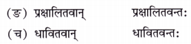NCERT Class 7 Sanskrit Chapter 5 Question Answer Solutions सेवा हि परमो धर्मः Q4.2