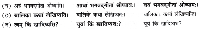 NCERT Class 7 Sanskrit Chapter 7 Question Answer Solutions ईशावास्यम् इदं सर्वम् Q8.2