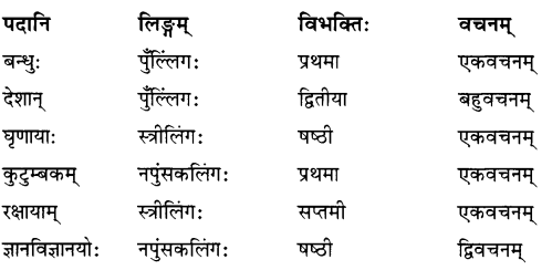 NCERT Solutions for Class 7 Sanskrit Chapter 10 विश्वबंधुत्वम् 2