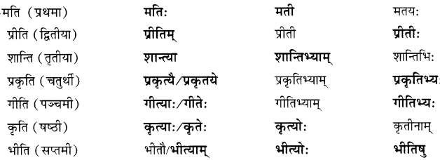 NCERT Solutions for Class 7 Sanskrit Chapter 13 अमृतं संस्कृतम् 2