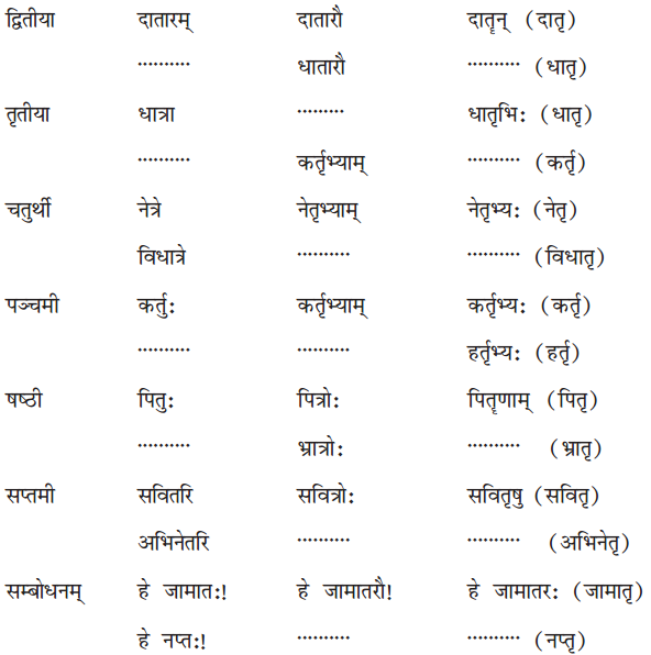 NCERT Solutions for Class 7 Sanskrit Chapter 14 अनारिकायाः जिज्ञासा 3