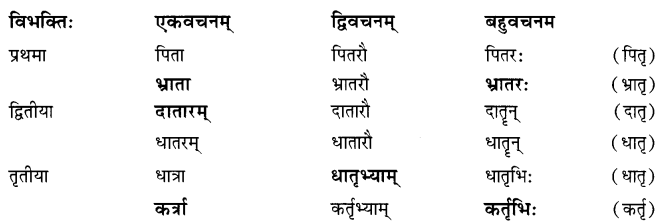 NCERT Solutions for Class 7 Sanskrit Chapter 14 अनारिकायाः जिज्ञासा 4